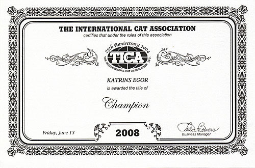 Katrin's Egor, британский черный кот, сертификат  Champion TICA