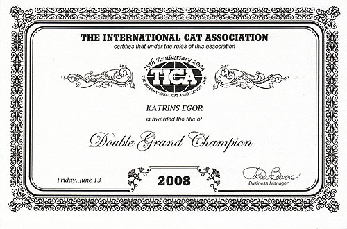 Katrin's Egor, британский черный кот, сертификат Double Grand  Champion TICA