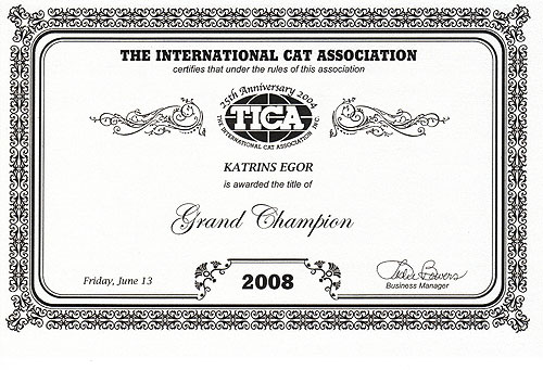 Katrin's Egor, британский черный кот, сертификат  Grand  Champion TICA