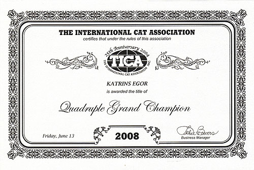 Katrin's Egor, британский черный кот, сертификат Guagruple Grand  Champion TICA