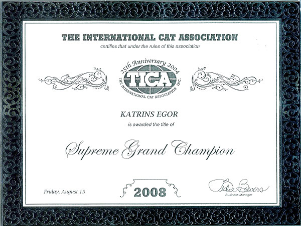 Katrin's Egor, британский черный кот, сертификат Suprime Grand  Champion TICA