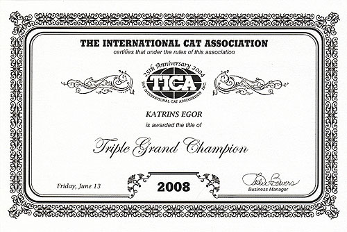 Katrin's Egor, британский черный кот, сертификат Triple Grand  Champion TICA
