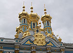  Северная столица Санкт Петербург , питомник Кэтрин